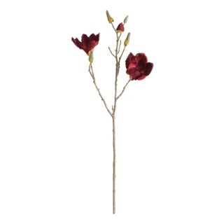 Magnolia Stems 27" St/4 For Sale
