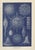 Richard Lydekker, Radiolarians, 1896, Color Process Print For Sale - Image 9 of 9