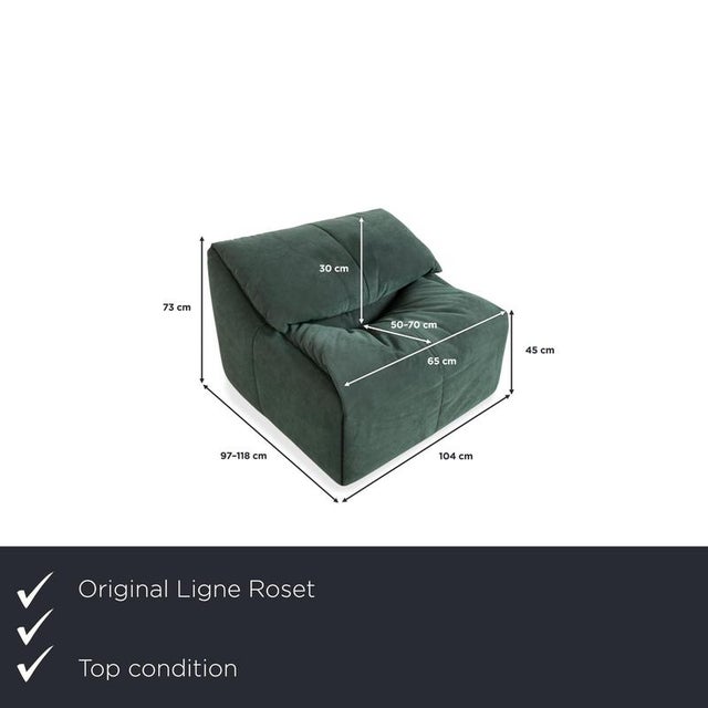 Ligne Roset Plumy: The Return of Absolute Comfort. This armchair is iconic. The "Plumy" model (originally designed in the...