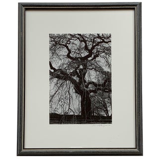 1980s Framed Black and White Photograph For Sale