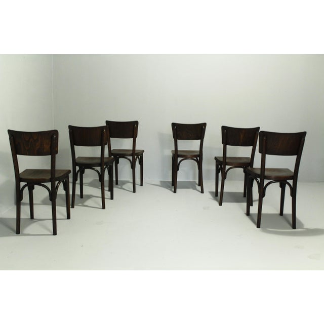 H-48 Pub Chairs by Michael Thonet for Thonet, 1920s, Set of 6 For Sale - Image 3 of 17