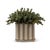 Ceramic Winterthur for Port 68 Acanthus Stripe Mocha Planter For Sale - Image 7 of 9