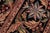1990s Art Nouveau 1990's Pak-Persian Black/Black Wool Rug - 9'1'' X 12'6'' For Sale - Image 5 of 9