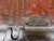 Folk Art 19thc l.e. Morrison Flat Top Leather Trunk W/Leather & Iron Locks For Sale - Image 3 of 6