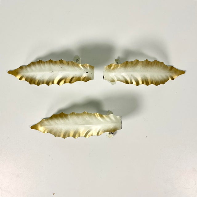 White 1950s Vintage Italian Roman Neoclassical Gold Tipped Acanthus Leaf Tole Tiebacks - Set of 3. For Sale - Image 8 of 12