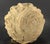 Earthenware Medicine Jar Mali Saharan Cultures, Africa For Sale - Image 11 of 13
