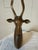 Mid-Century Modern Mid-Century Brass Antelope Gazelle Head Figurine For Sale - Image 3 of 9