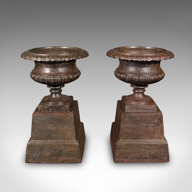 This is a large pair of antique garden planters. An English, cast iron outdoor display urn from the time of the Great...