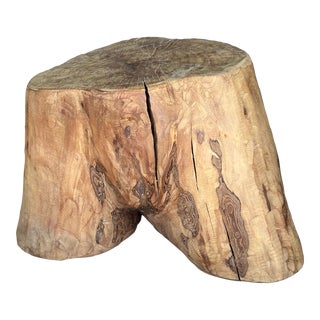 Vintage Teak Root Male Form Sculpture For Sale
