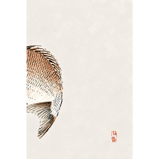 Tai (Red Seabream) by Kōno Bairei, Vintage Japanese Woodblock Print Reproduction, 24" X 16" For Sale - Image 4 of 9