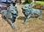 An important pair of Venetian bronze lions, late 19th century from Venice, private collection. Of fantastic quality, they...