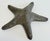 Hollywood Regency style heavy cast brass starfish paper weight. Beautiful detail to both sides. Natural patina to brass....