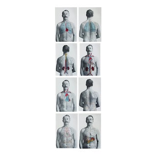 Vintage Medical Prints, 1900, Set of 8, Paper For Sale