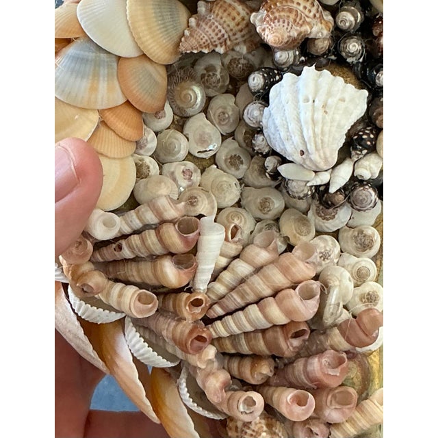 Cream Vintage Coastal Shell Encrusted Brackets - A Pair For Sale - Image 8 of 12
