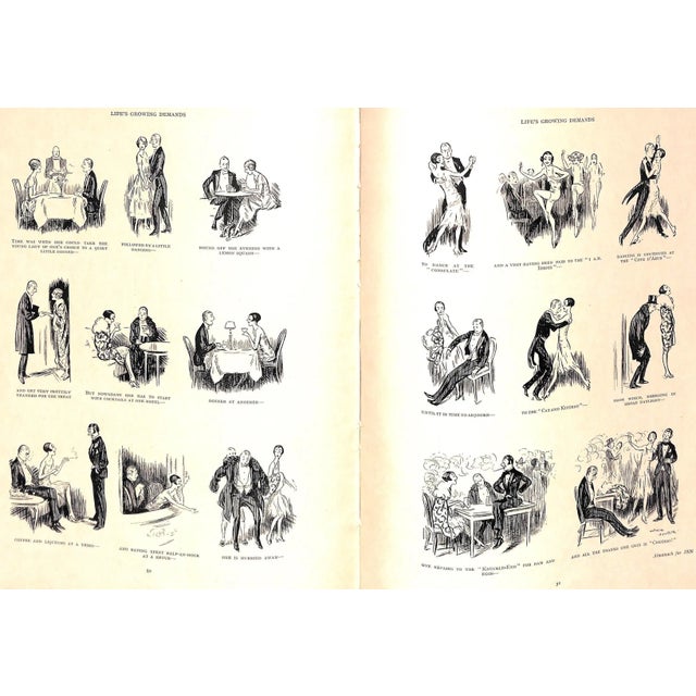 Traditional Bright Young Things For Sale - Image 3 of 11