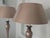 Mid-Century Modern Mid-Century Metallic Finish Table Lamp For Sale - Image 3 of 8