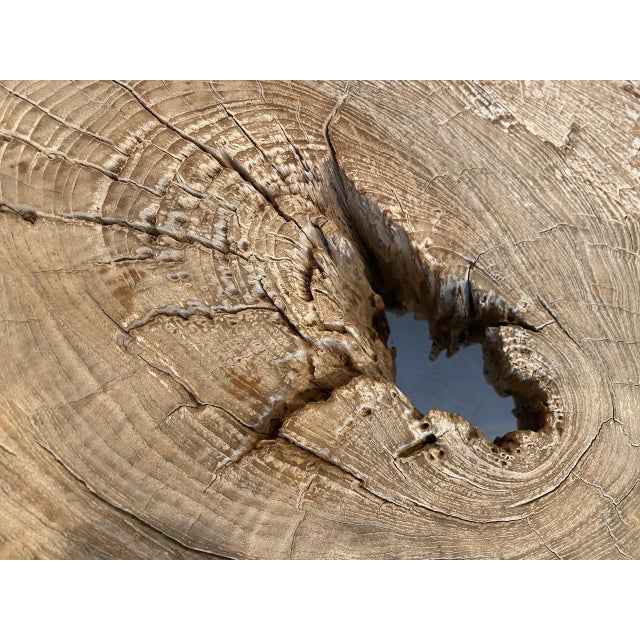 Andrianna Shamaris Impressive Teak Wood Log Style Console Table For Sale - Image 13 of 18
