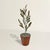 Hand-crafted by RIGHT PROPER artisans in small batches, this tole olive topiary is inspired by famed garden enthusiast...