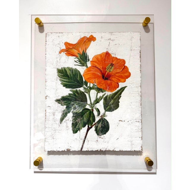 2020s Orange Tropical Hibiscus - Hand Textured Orange Flower Art For Sale - Image 5 of 5