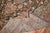 Textile Antique Zabihi Collection Persian Bakhtiari Rug - 8'1" x 11'7" For Sale - Image 7 of 8