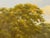 Textile Lush Green English Countryside with Cottage & River by British Landscape Artist 1980 Circa For Sale - Image 7 of 18