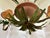 1990s Late 20th Century Palm Beach Regency 6-Light Tole Palm Tree Chandelier With Shades For Sale - Image 5 of 10