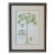 Vintage Framed Georg Dionysius Ehret Papaya Botanical Reproduction Print, After 1750 For Sale