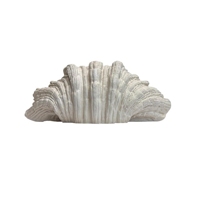 Mid-Century Modern Large Vintage Plaster Organic Sea Shell Wall Light, 1970s For Sale - Image 3 of 10