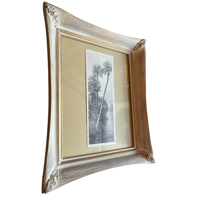 Pair of 1940s Old Florida Black & White Photographs in White Washed Pickled Gilt Frames and Ochre Mat – Palms & Oak-Canopied River For Sale - Image 4 of 11