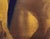 This oil on board painting presents a male torso, capturing the play of light and shadow across the muscular form. The...