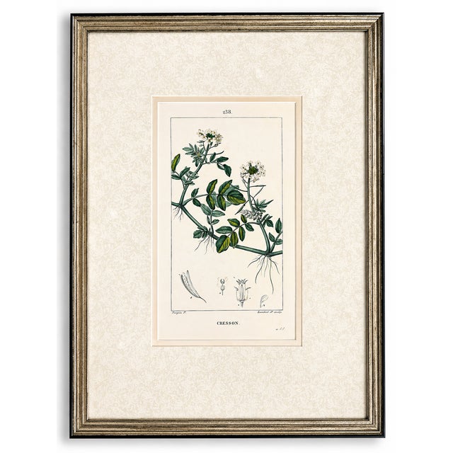 Sculpture Materials Set of Six. Antique French Botanical Engraving by Pierre Jean François Turpin (C. 1835), Professionally Framed For Sale - Image 7 of 7