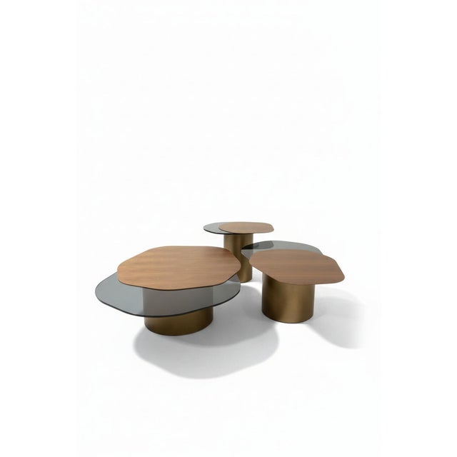 The Modern Irregular Kaylee Coffee Trio Table Set is here to impress. This set of 3 coffee tables will add a touch of...