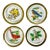 1980s Vintage Chippendale Hollywood Regency West Virginia Glass Co. Coasters With Song Birds - Set of 4 For Sale