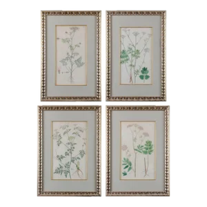Jacquin Flower Engravings - Set of 4