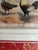 Late 19th Century Hand-Colored Print of Exotic Chickens For Sale - Image 5 of 7
