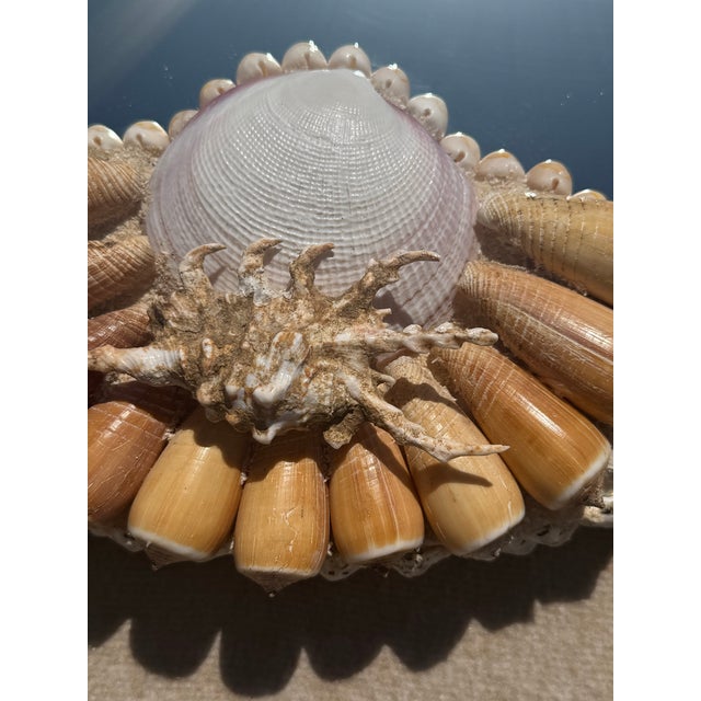 Currey and Company Stunning Large Natural Seashell Framed Mirror For Sale - Image 4 of 12