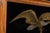 Early 20th Century Waltham Watches Reverse-Painted Glass Advertising Sign For Sale - Image 4 of 7