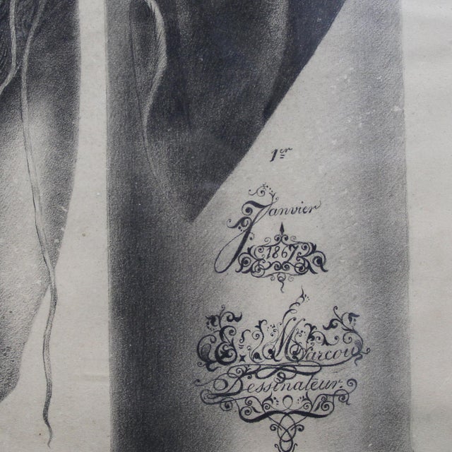 David with the Head of Goliath, 1867, Charcoal Drawing For Sale - Image 7 of 9