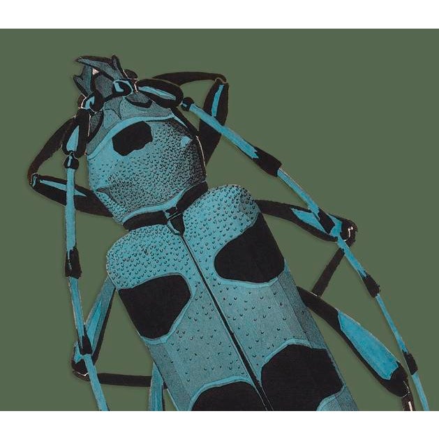 The series was produced by CFA editions from original pochior prints by E.A. Seguy. The series of insects that Seguy...
