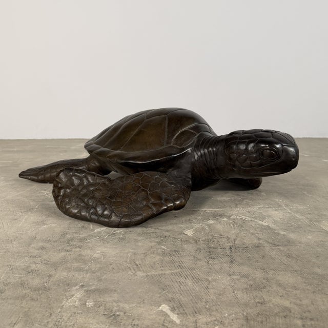 Large Bronze Sea Turtle Sculpture – 26” L For Sale In Dallas - Image 6 of 14