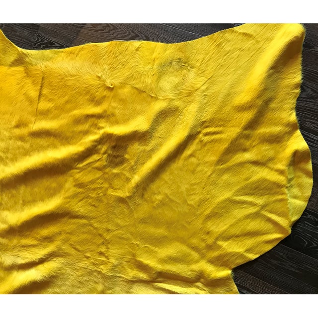 Yellow Cowhide Rug (Large) Chairish
