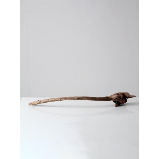 Vintage Natural Driftwood Sculpture Organic Modern Display Wood For Sale - Image 4 of 12