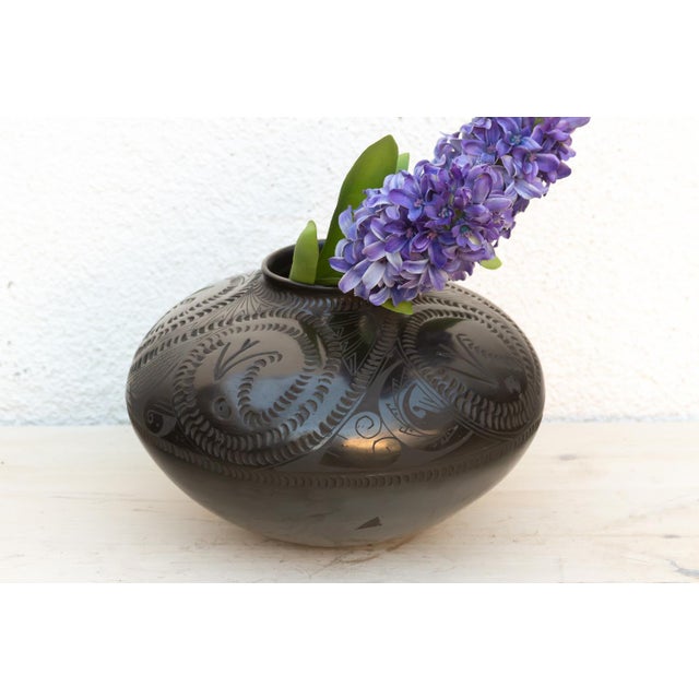 Mexican Etched Swirls Mata Ortiz Vintage Pot For Sale - Image 3 of 11