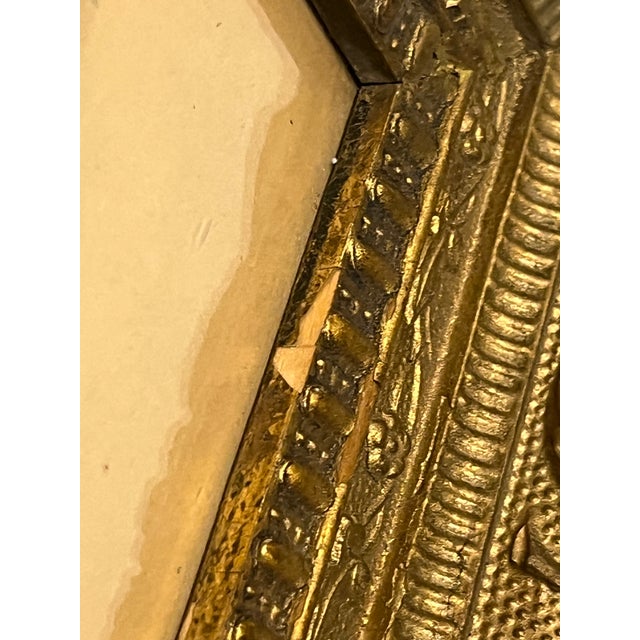 Early 20th Century Framed J. Gould Bird Prints in Ornate Gilt Frames - a Pair For Sale - Image 11 of 18
