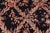 Art Nouveau Basan Pak-Persian Black/Black Wool Rug - 9'2'' X 12'3'' For Sale - Image 4 of 9