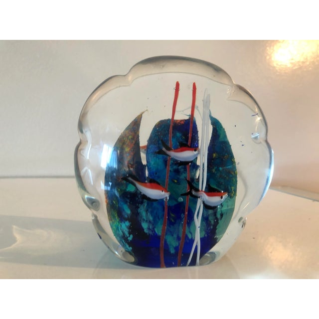 CORRECTION TO SHIPPING TIME, THIS IS SELLER SHIPPING, ARRIVAL TIME IS 4-10 DAYS FROM PURCHASE DATE. Substantial “aquarium”...