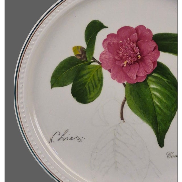 Villeroy & Boch Collectable Villeroy & Boch Floral Blush Pink Camelia Wall Plate 1994 For Sale - Image 4 of 8