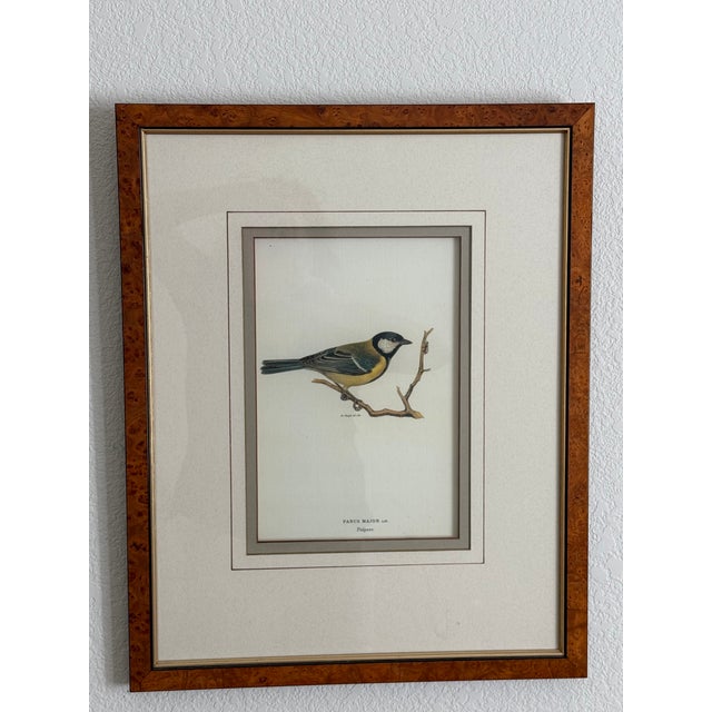 Ethan Allen framed antique bird print; by Magnus von Wright (1927); double matted with linen and sage green colors; one of...
