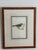 Ethan Allen framed antique bird print; by Magnus von Wright (1927); double matted with linen and sage green colors; one of...