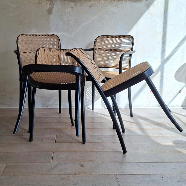 No. 811 Prague Chairs by Josef Hoffmann for Ligna, 1970s, Set of 4 For Sale - Image 4 of 12